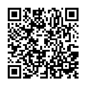 却暗地里偷偷用暗影分身和纸人替换掉了原来的自己二维码生成