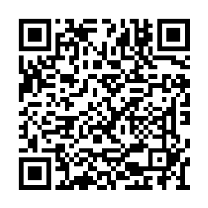 却有十数人如同离弦之箭一般飞速来到飞崖山上二维码生成