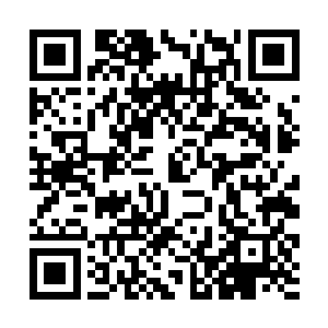 却有更多哭笑不得的单纯的心的家伙搞不太明白状况二维码生成