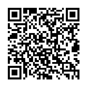 却有着一个貌似挺强的称号……难道这货是深藏不露二维码生成