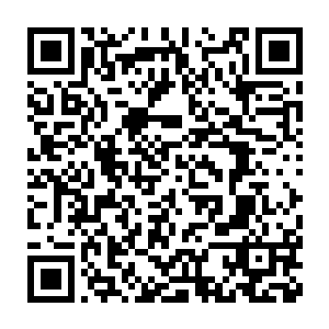 却有着相对粗壮不少的四肢……这看起来还真的跟恐龙非常相近的二维码生成