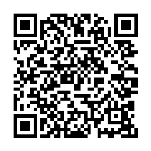 却根本就没有想到孙子轩竟然会问出这样的话来二维码生成