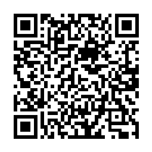 却正好和接到消息匆匆而来的皇后等人撞了个正着二维码生成