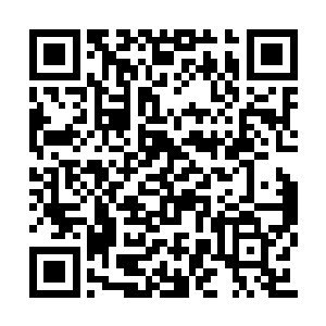 却正是王俊杰在河伯仙府中得到的那个古朴剑匣二维码生成