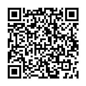 却比其他点亮了三四个魂海的龛台发出的光还要强二维码生成