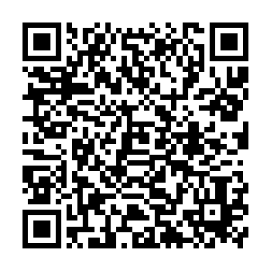 却没想到也同样让秦方可以放开手来屠杀这些没有人姓的畜生……三十多个人二维码生成