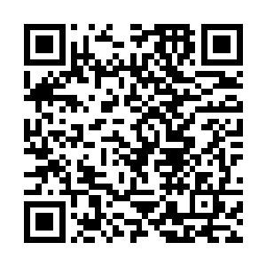 却没想到他小小年纪竟然已经修行到了通幽境的巅峰二维码生成