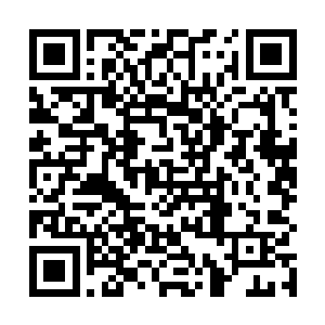 却没想到在昆仑这个仙家之地反而有这种尸气重的东西二维码生成