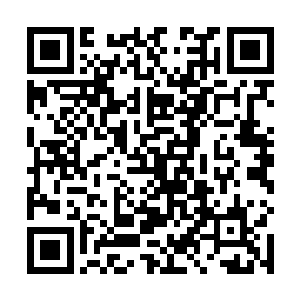 却没想到在飞机上遭遇了那样一个粗俗没有文化的土憋二维码生成