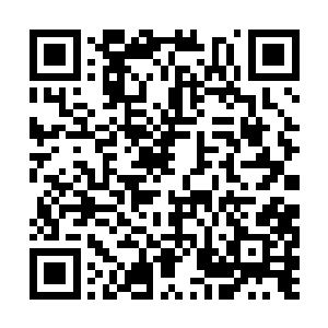 却没想到她在慌乱中不小心按了大师兄的手机号码二维码生成