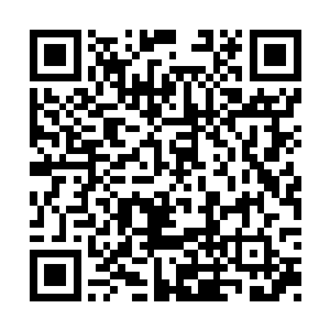 却没想到就被一个虚王境用虚王级秘宝给偷袭了二维码生成