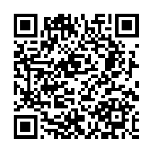 却没想到开门看到的并不是一个应该颓败并腐烂的院子二维码生成