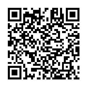 却没想到这一行人中那高大金毛的前辈竟然不是领头人二维码生成