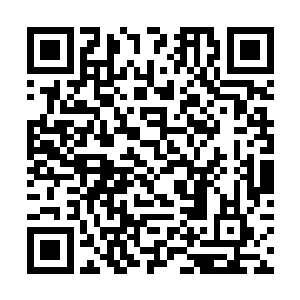 却没有一个人知道孙子轩为什么放着好好的西医不学二维码生成