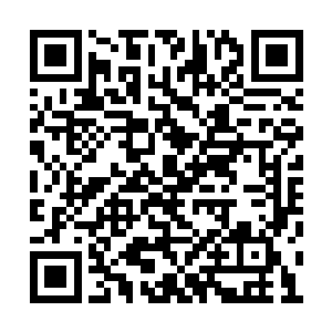 却没有听到过任何一个提起她身上有淡淡荷花香二维码生成