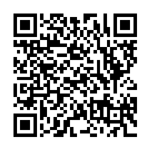 却没有想到他居然笑眯眯地听完自己说完了所有的一切二维码生成