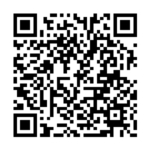 却没有想到会让他偶然发现十两拥有这样的体质二维码生成