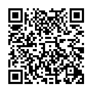 却没有想到最后连上帝之星碎片的影子都没有看到二维码生成