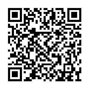 却没有想到最终要沦为大家一起联手对付的角色二维码生成