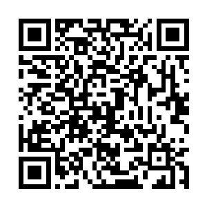 却没有想到硬要充嫩的水手服大妈和大龄魔法少女二维码生成