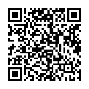 却没有想到自己的弟子竟然在此时施展出一剑破万法二维码生成