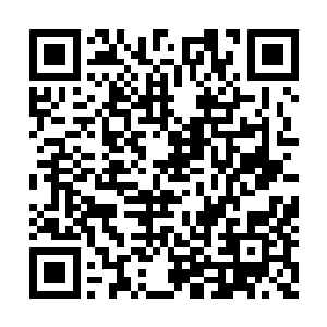 却没有想到那拿着北燕大须弥令的小子奸诈异常二维码生成