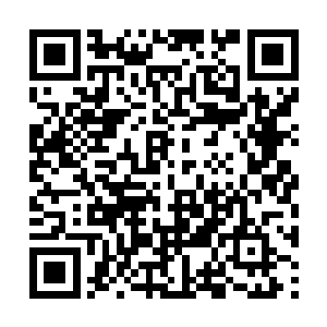 却没有摸清楚这位新上任的巡漕御史崔奕廷的脾气二维码生成