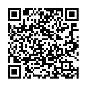 却没算到如此简单的丹药与药浴两位老者竟然无法炼制二维码生成