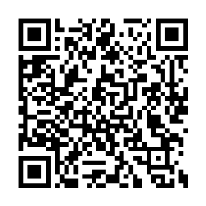 却满满的都是姗姗那穿着那束晚礼服时候的模样二维码生成