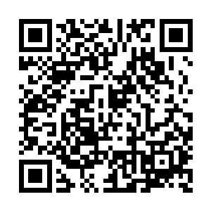却猛然间听到了外面传来了一阵细碎的脚步声晌二维码生成