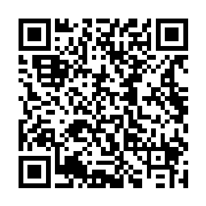 却用了拜会二字……玉莹和程月彤两人都是心绪澎湃二维码生成