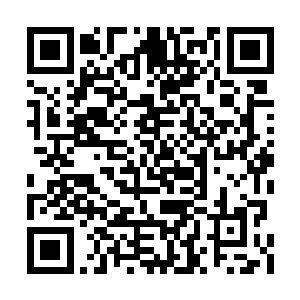 却直接导致那肩上的伤口被猴子一点一点地撕开二维码生成