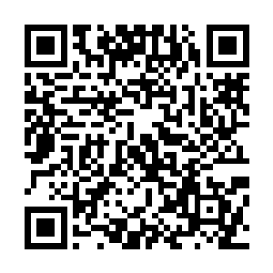 却看到了章小红突然间就从她的身下掏出了一大大的文件袋二维码生成