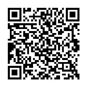 却看到妮可在半空中以一个优美的姿势转了个弯二维码生成