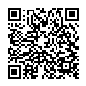 却看到强大无匹的林豹好似孙子见到爷爷一样小跑了过去二维码生成