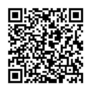 却看到柳眉倒竖的拉蒂西娅突然离开了她原来的坐位二维码生成