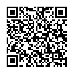 却看另一边乌乌儿以及那几个护卫不是凶神恶煞的样子二维码生成