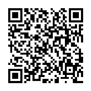 却看曹魏军的将士将白狮军以及张辽团团给围住了二维码生成