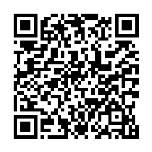 却看见唐啸带来的一名反贪局副局长满脸兴奋的走了过来二维码生成