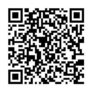 却看见母亲正换了一身轻便衣服蹑手蹑脚的往门口走二维码生成