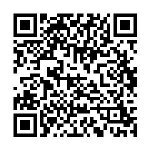 却看见那辆出租车车灯照亮的前方居然有一个人影二维码生成