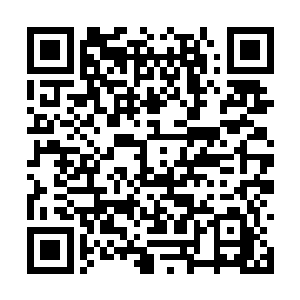 却看见阿财以前所未有的速度飞快地从他脚边掠过二维码生成
