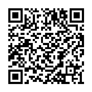 却知道这个项目最早就是王铮和肖菲一起提出的二维码生成