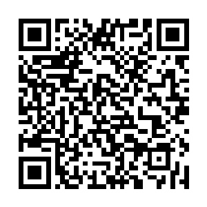 却绝不是为了跑过来接受这种嘲笑的哪怕是合作伙伴二维码生成