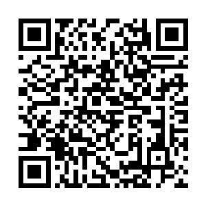 却绝对算是结实的草地完全起不到太大的托举作用二维码生成