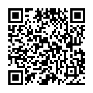 却能从窗户看见一望无际的海面和另一边繁华拥挤的河道二维码生成