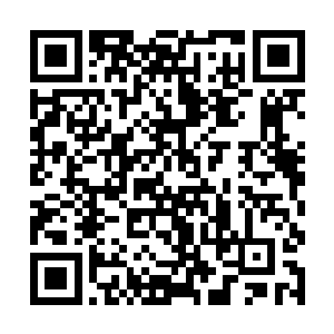 却能透过虚拟屏幕看到手下一大帮人都顶着熊猫眼了二维码生成