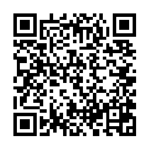 却莫名感觉一个极强的念头正要从迷雾之中迸发而出二维码生成