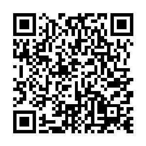 却被同样等级的蔡副局长像他以前训新兵蛋子一样训着二维码生成