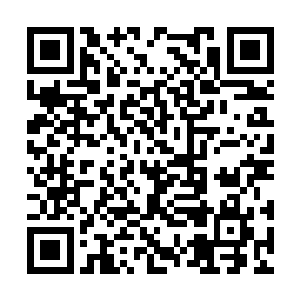 却被吴岩手中冲出的一条带翅大鱼给吓的再次呆住二维码生成